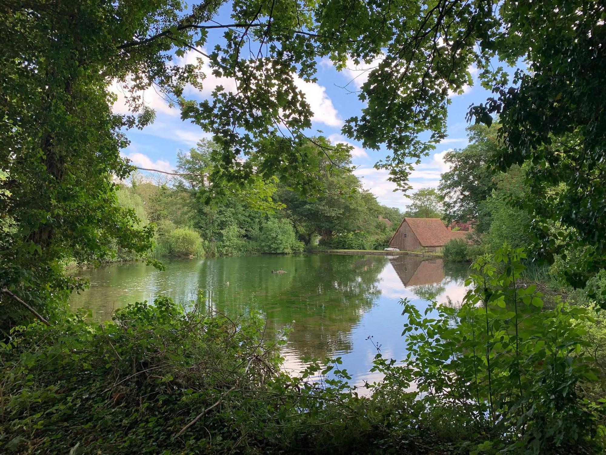Moorhen Cottage Hollingbourne Luaran gambar